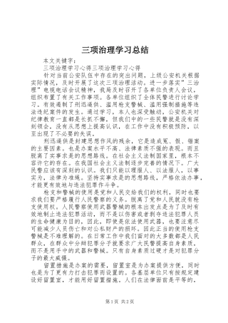 三项治理学习总结 