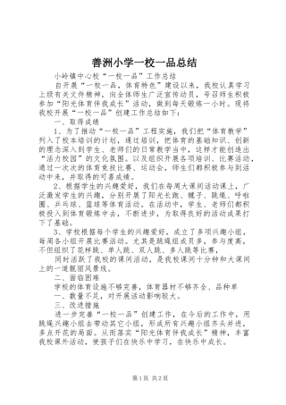 善洲小学一校一品总结 