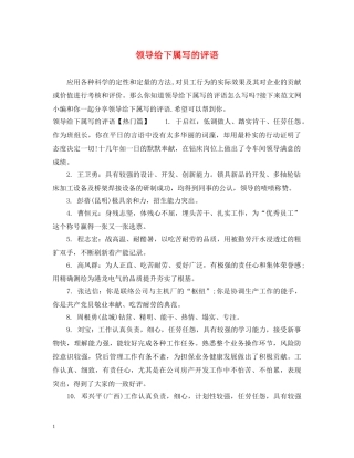 领导给下属写的评语 