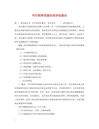 可行性研究报告的评估报告 
