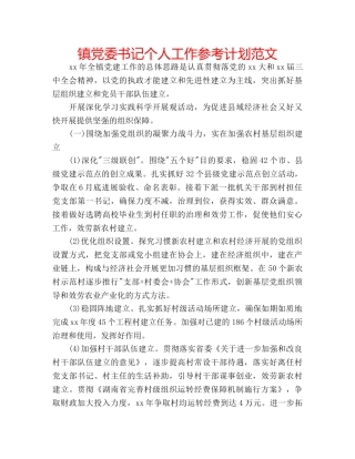 镇党委书记个人工作参考计划范文 