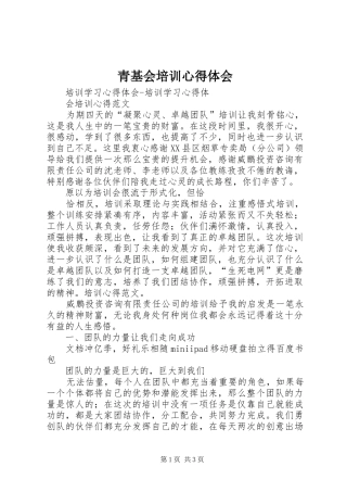 青基会培训体会心得
