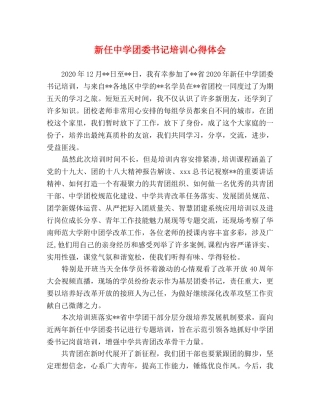 新任中学团委书记培训心得体会 