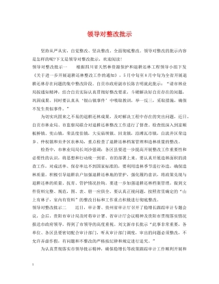 领导对整改批示 