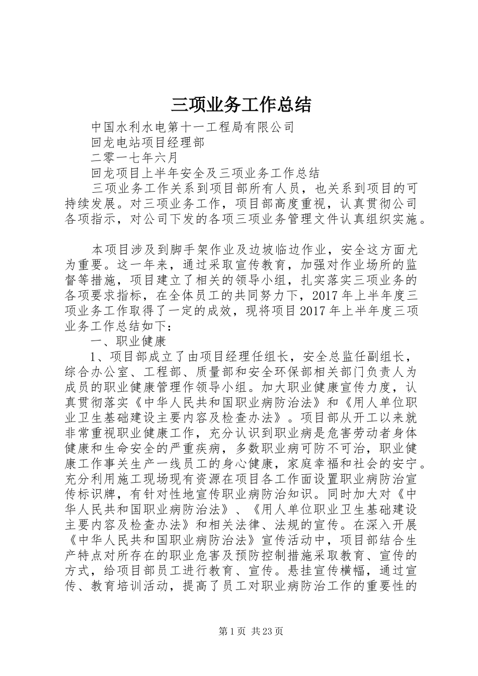 三项业务工作总结 _第1页