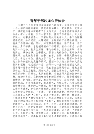 青年干部沙龙体会心得