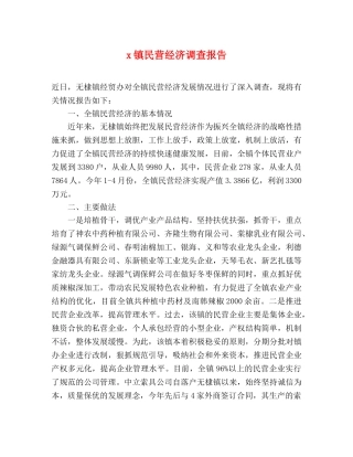x镇民营经济调查报告 