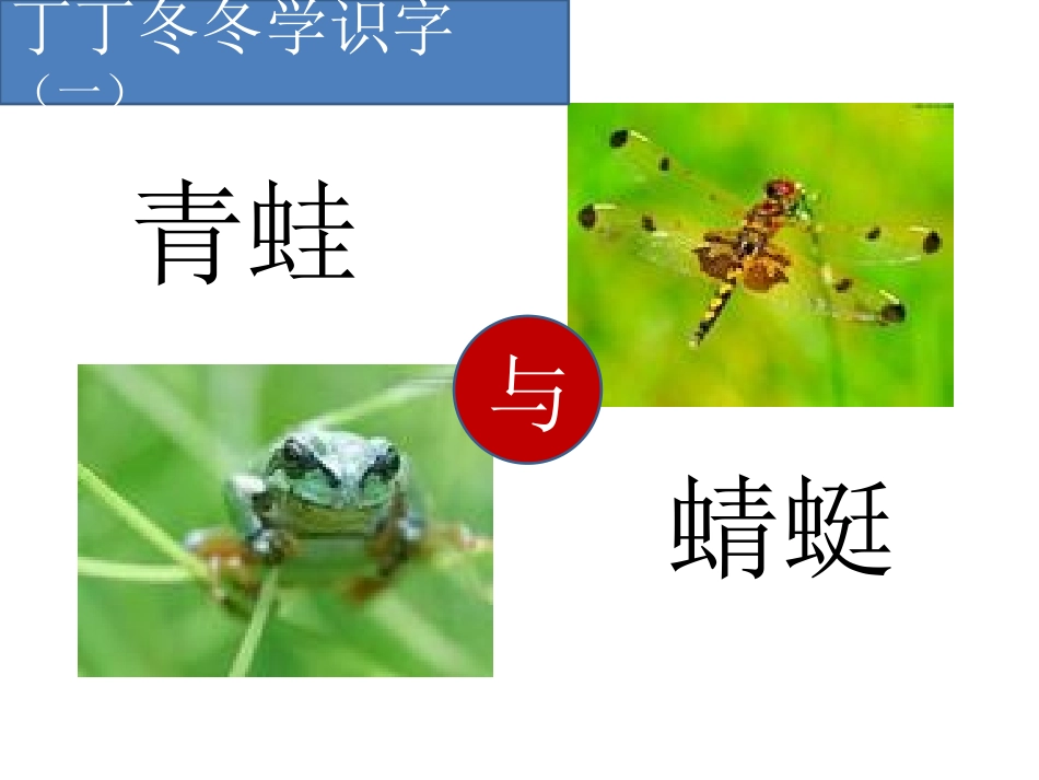 小学语文二年级课件-青蛙与蜻蜓_第3页