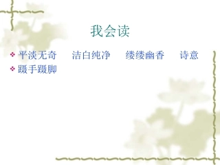 17.爱如茉莉