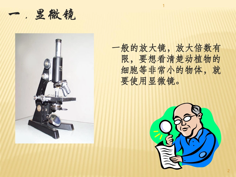 5-5显微镜和望远镜_第2页
