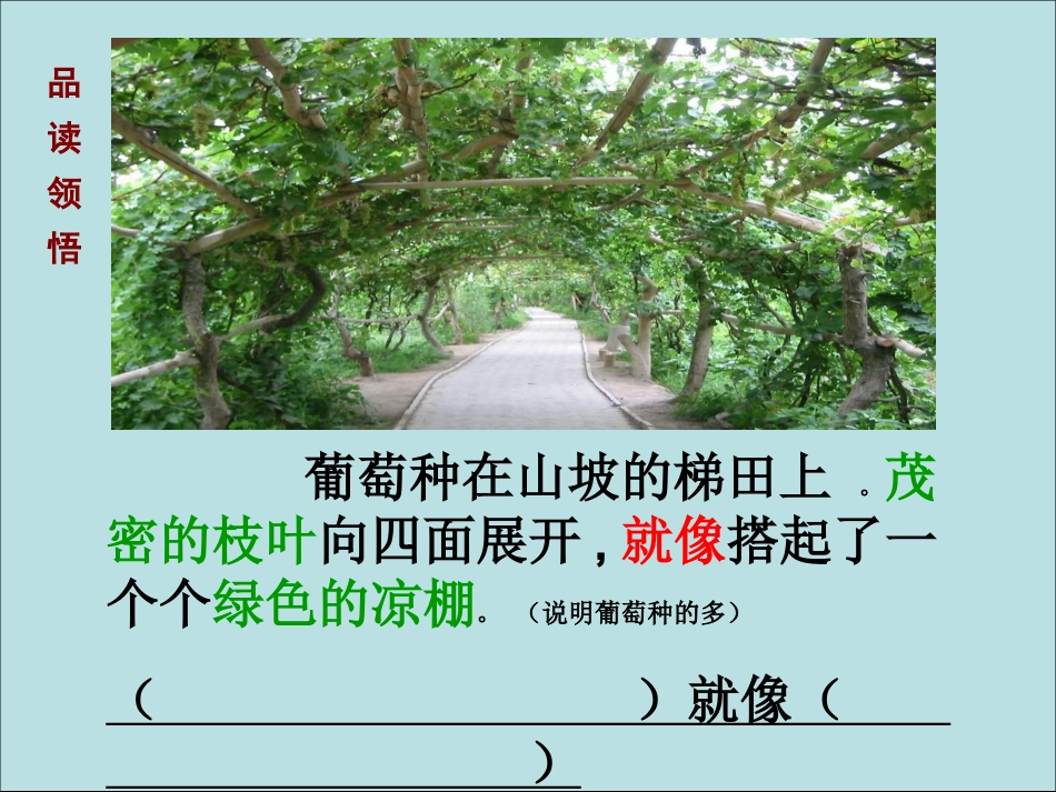 Xnfo20100426-79039_第3页