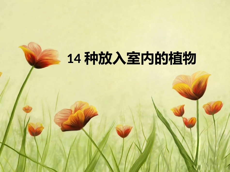 14种放入室内的植物_第1页