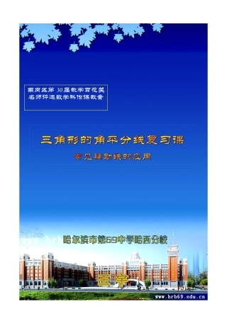三角形的角平分线教案.doc