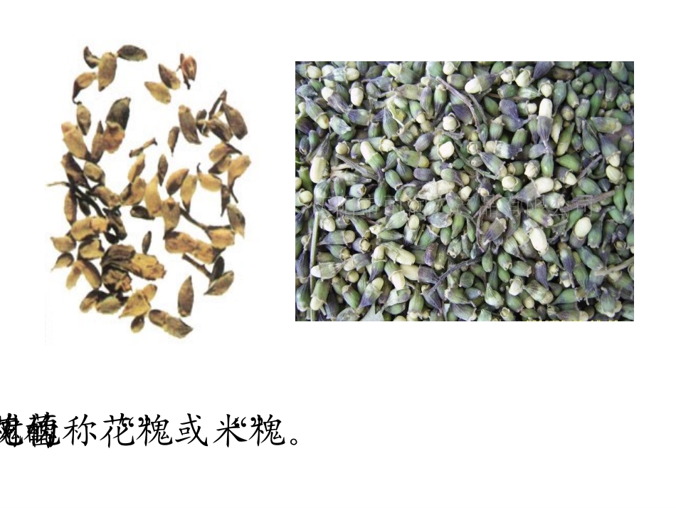 4、《槐乡的孩子》PPT课件._第3页