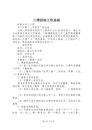 三项活动工作总结 