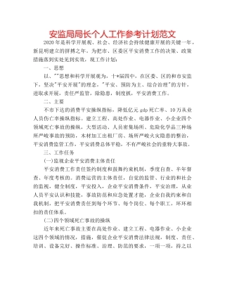安监局局长个人工作参考计划范文 