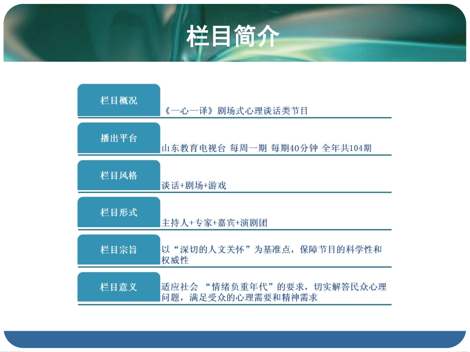 《一心一译》栏目合作方案0703_第3页