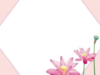 161小松鼠找花生