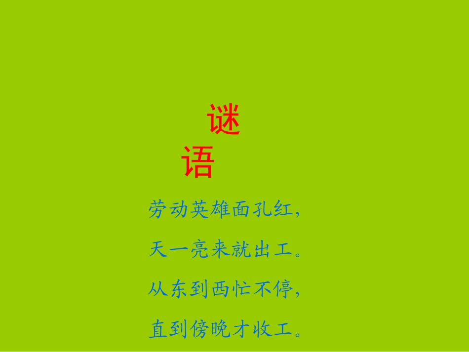 人教2011版小学数学三年级《位置与方向》课件_第2页