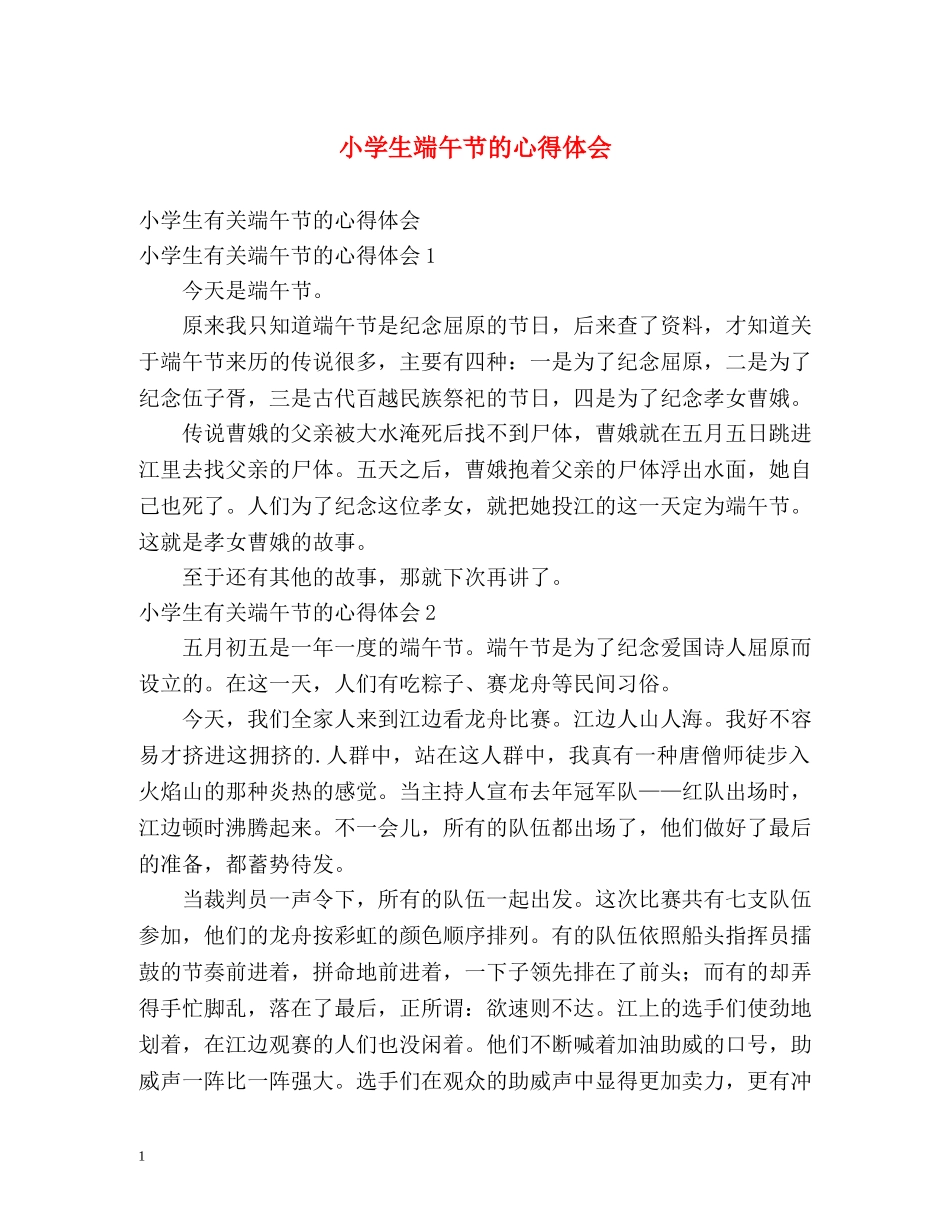 小学生端午节的心得体会 _第1页