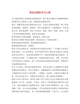 职业化团队学习心得 