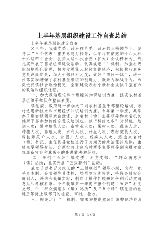上半年基层组织建设工作自查总结 
