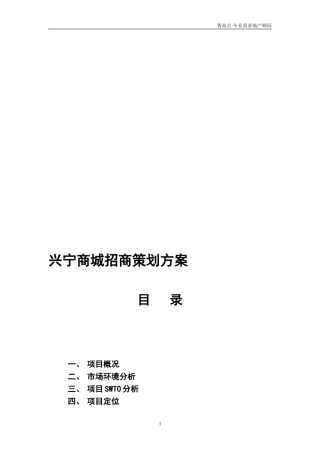 兴宁商城招商策划方案