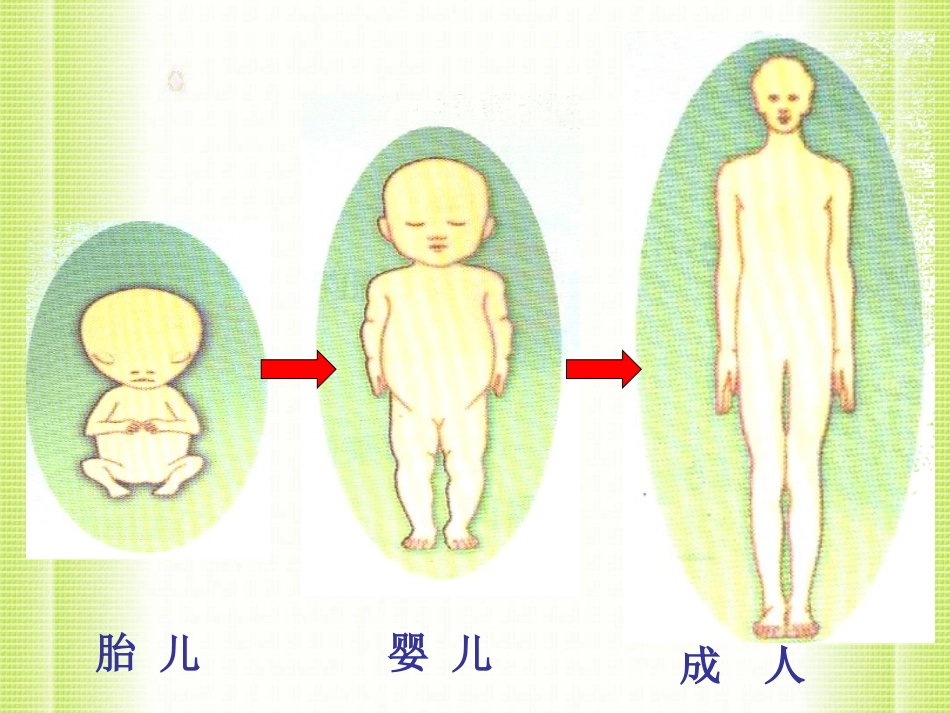 青岛版小学数学三年级上册第六单元《分数的初步认识》课件_第3页