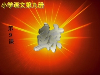 9《鲸》3课时