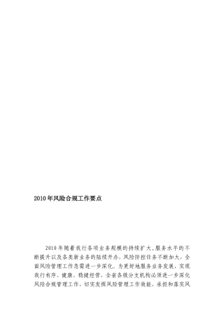 2010年风险合规工作要点