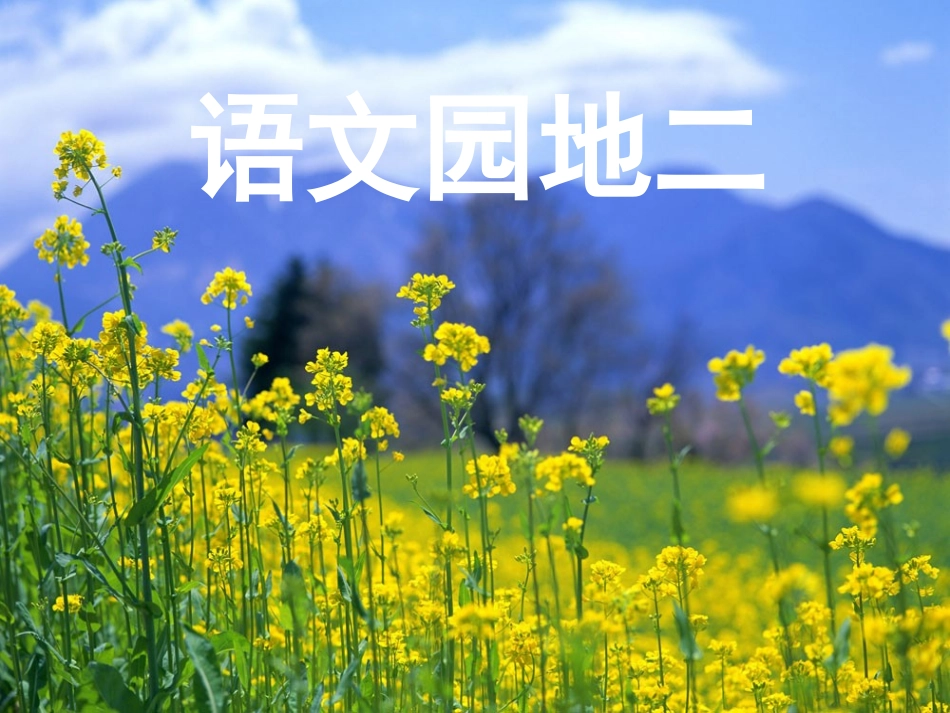语文园地二1_第1页