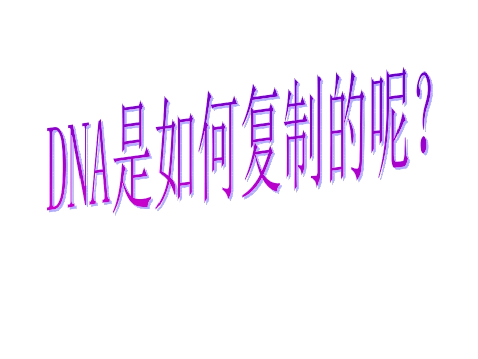 DNA的复制_第2页