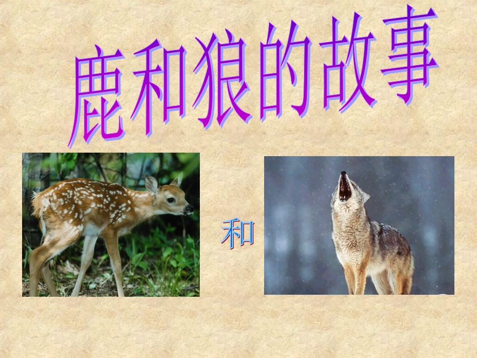 《鹿和狼的故事》_第1页