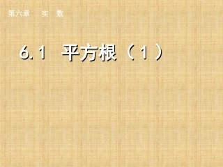 6.1.1平方根.1-平方根-(1)