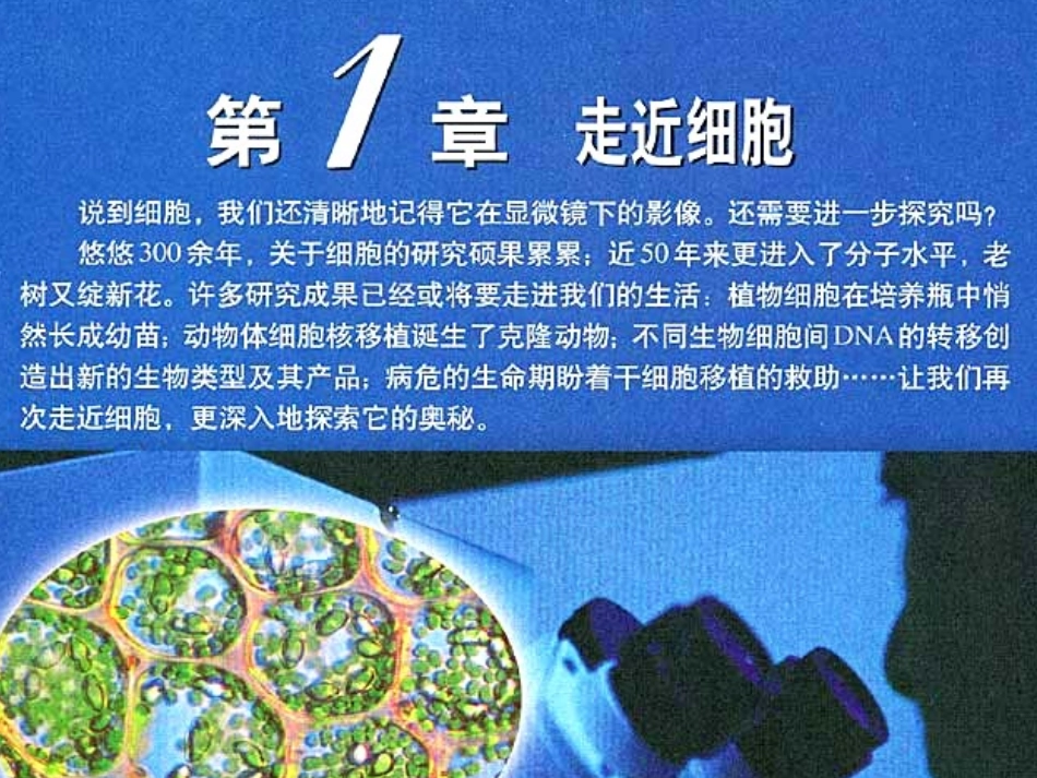 从生物圈到细胞-课件-9_第1页