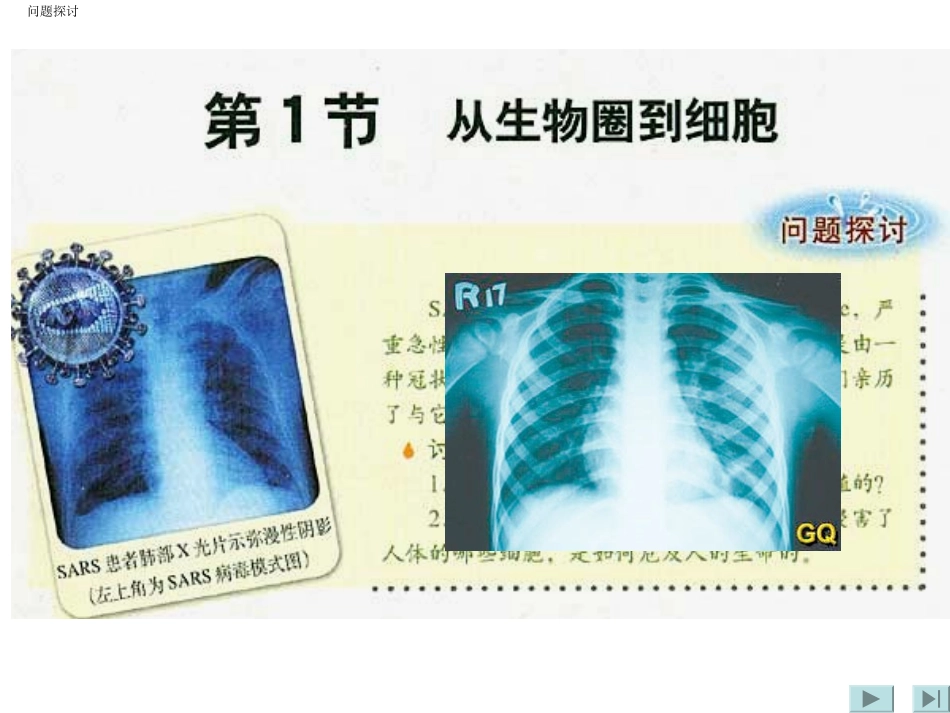 从生物圈到细胞-课件-9_第3页