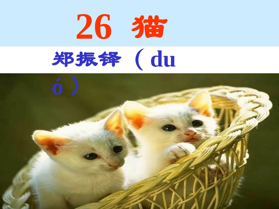 《猫》教学课件_第1页