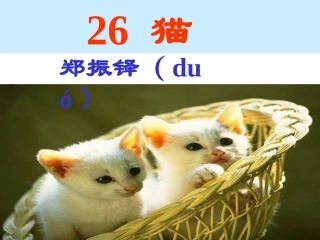 《猫》教学课件