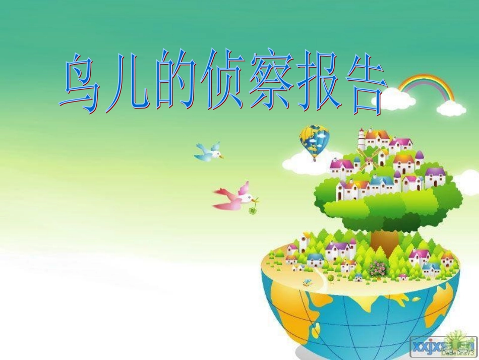 鸟儿的侦查报告_第1页