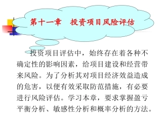 项目评估不确定性分析11.1
