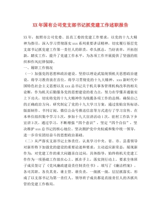 XX年国有公司党支部书记抓党建工作述职报告 
