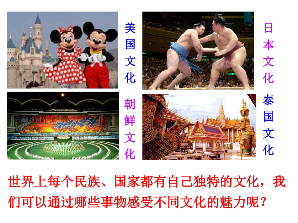 3.1世界文化的多样性._第2页