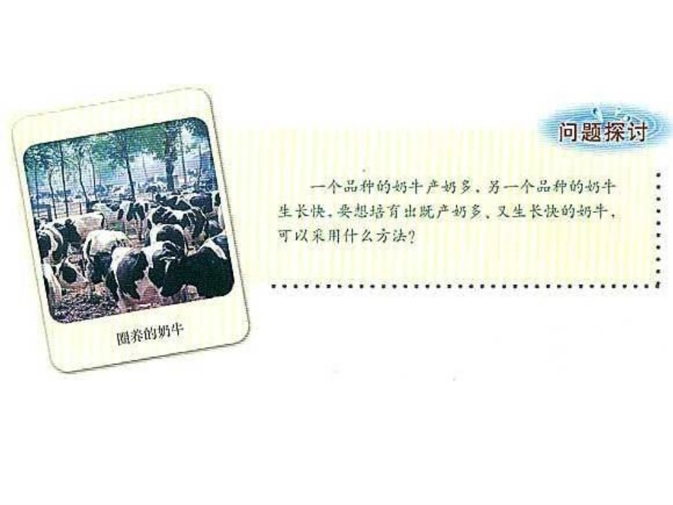 第2节孟德尔的豌豆杂交实验(2)_第2页