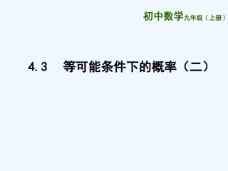 4.3-等可能条件下的概率(二)