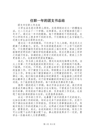 任职一年的团支书总结 