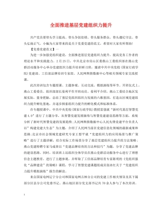 全面推进基层党建组织力提升