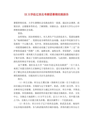 XX大学赴辽西北考察团暑期实践报告 