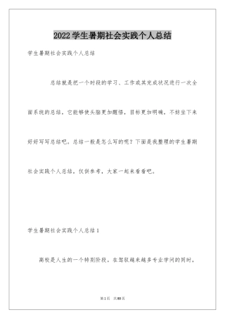 2024学生暑期社会实践个人总结