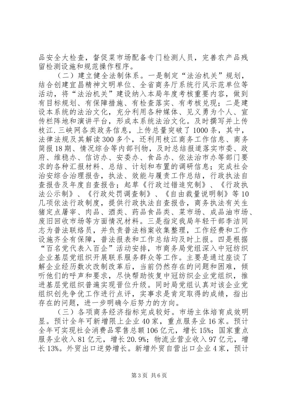 商务局执法与效能监察工作总结 _第3页