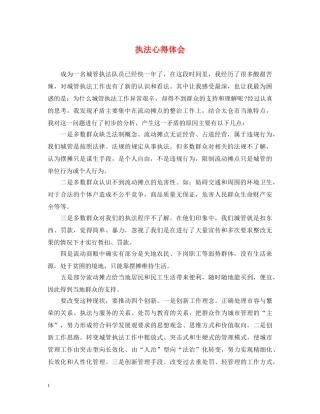 执法心得体会 